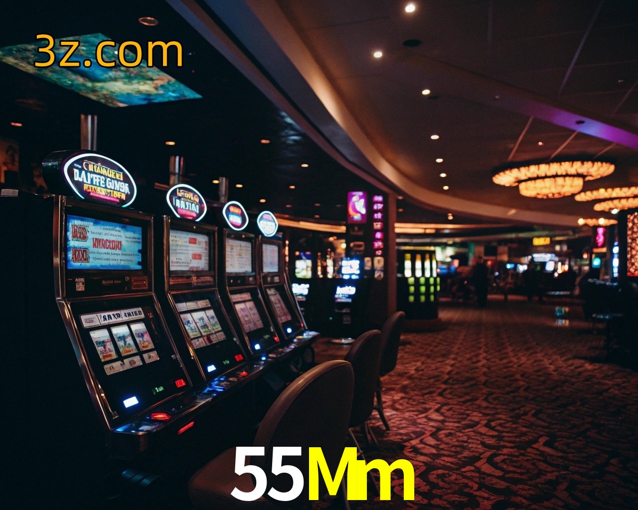 55Mm